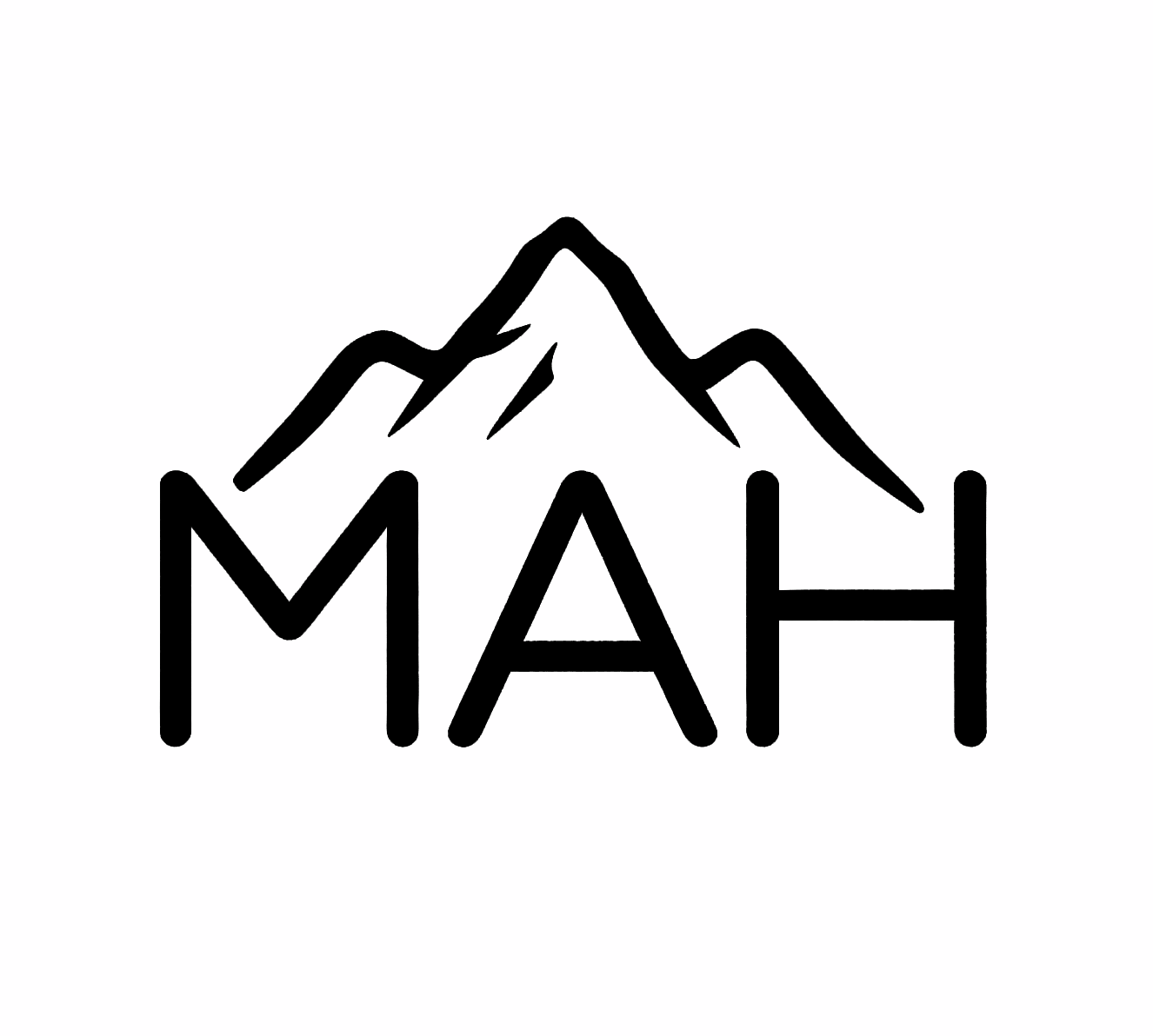 MONS AURI HOLDINGS